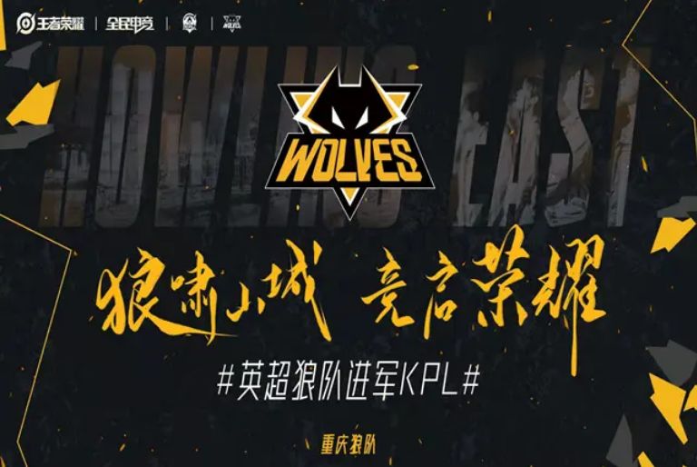 技能与训练